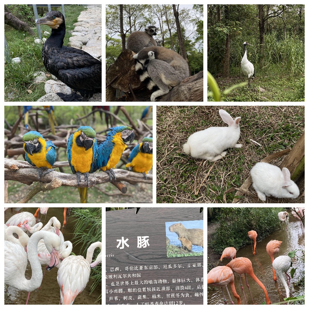 厚積薄發(fā)，蓄力前行：大手牽小手，共圓實(shí)佳夢(mèng)